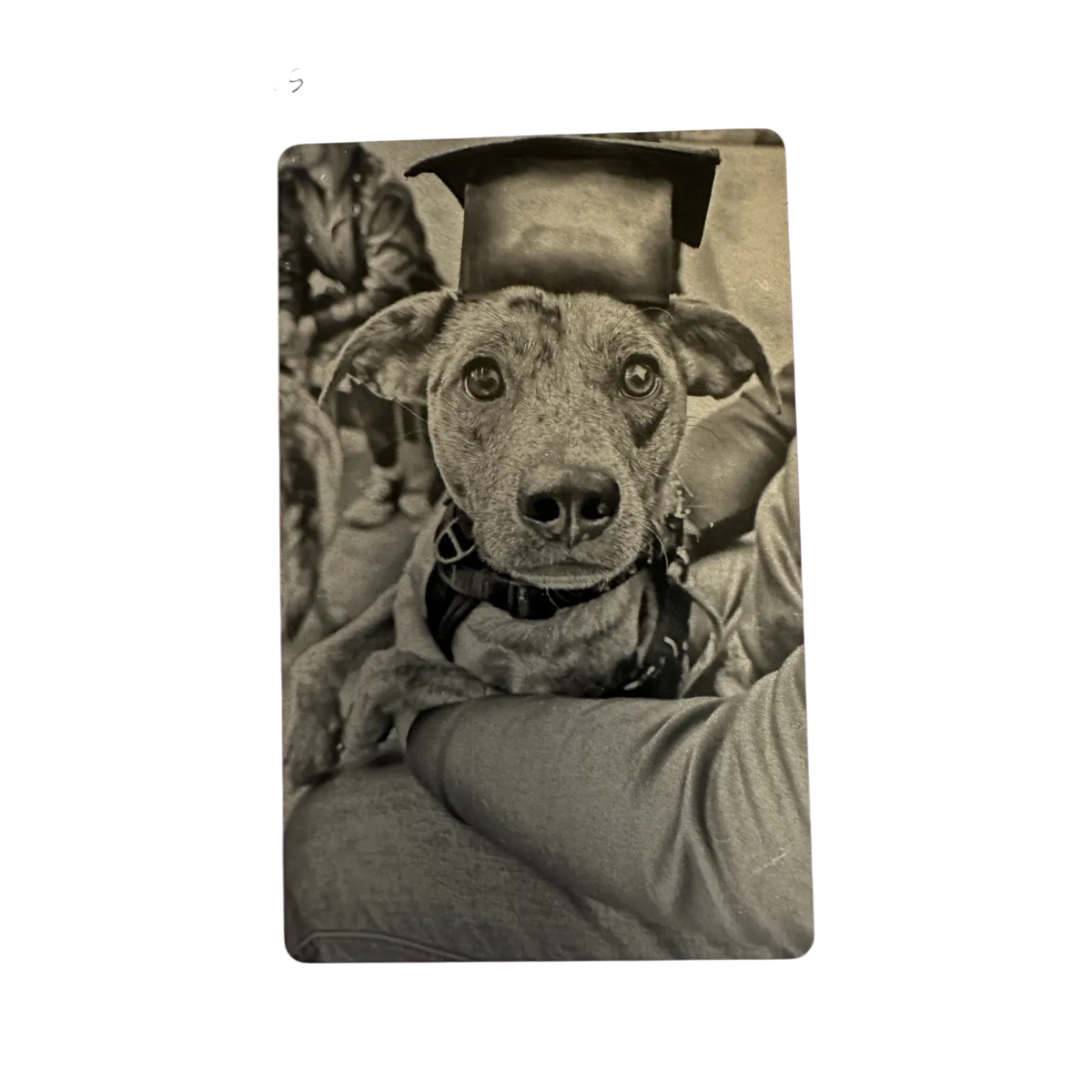 Black and White Photo Cards